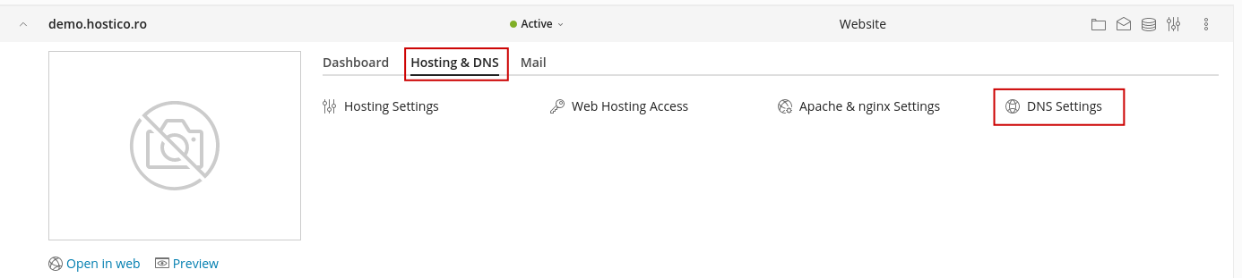 DNS-Einstellungen Plesk
